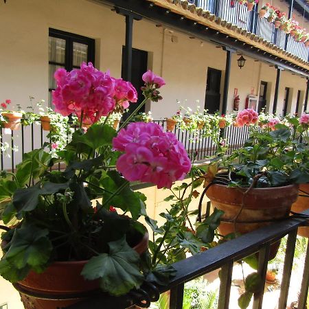 Apartamento Alameda Apartment Севиля Екстериор снимка